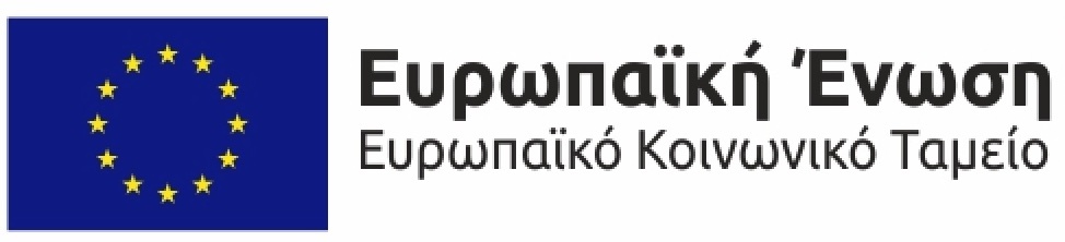 Μικρό πλαίσιο που δείχνει τη σημαία της Ευρωπαϊκής Ένωσης στην αριστερή πλευρά και στη δεξιά πλευρά γράφει Ευρωπαϊκή Ένωση και από κάτω Ευρωπαϊκό Ταμείο στην ελληνική γλώσσα με μαύρα γράμματα